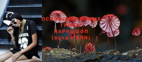 гидра Кулебаки
