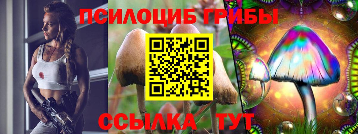 Галлюциногенные грибы MAGIC MUSHROOMS Кувандык