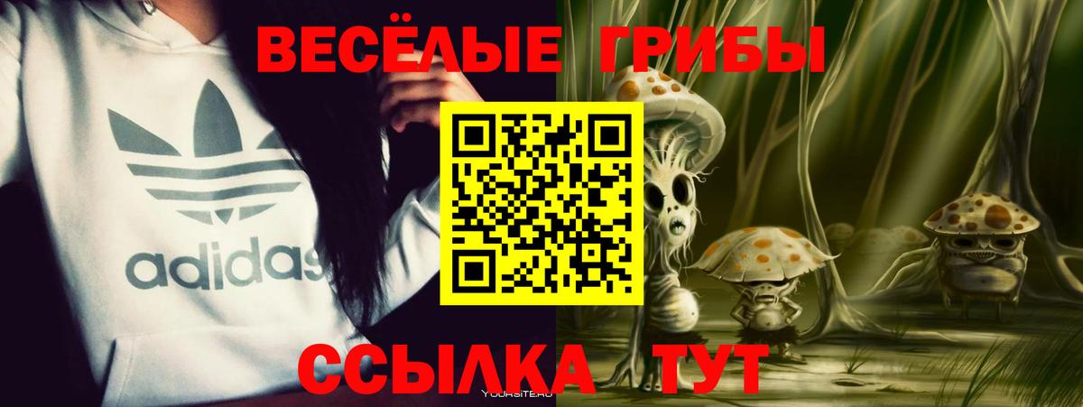 Кувандык  Галлюциногенные грибы ЛСД  Вход с VPN  Псилоцибиновые грибы Cubensis 